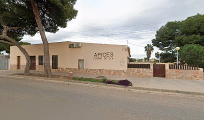 Ápices