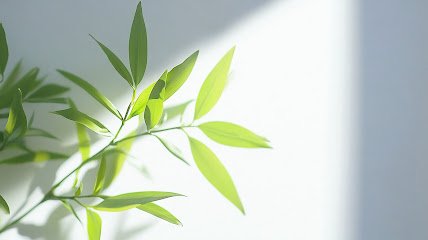 Balanced Mental Wellness - Psychiatry & Ketamine