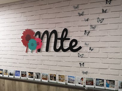 Centro de Psicología MTE - Psicólogo en Valladolid