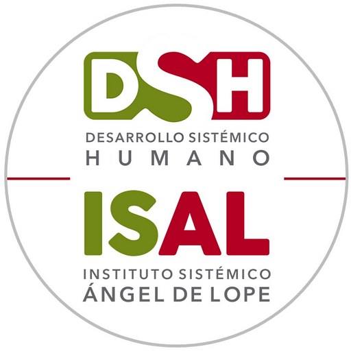 Coaching Ejecutivo Sistémico-HS, Individual y para Equipos (6ª edición)