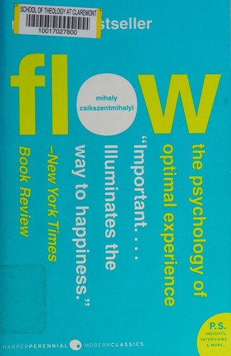 Fluir (Flow)