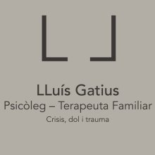 Lluís Gatius Joher