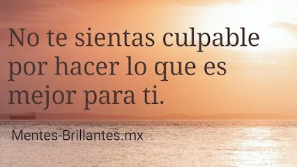 Mentes Brillantes Psicoterapia