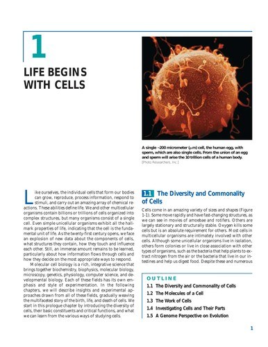 Molecular cell biology