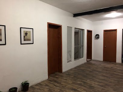 Psicólogos en Guadalajara | Asociación Libre