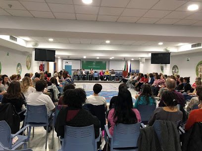 SILVIA OCHOA LOZANO. Terapeuta psico-emocional. Psicología humanista y Mindfulness. Gestalt y constelaciones familiares.