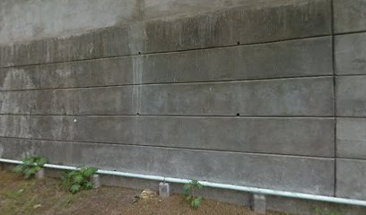 Terapia de Pareja en Cuautla.
