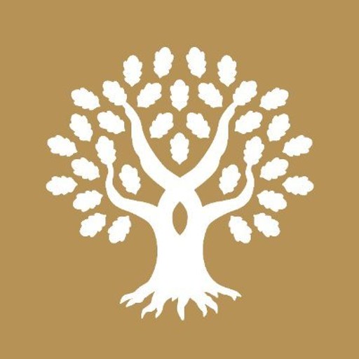 Diplomado Coaching