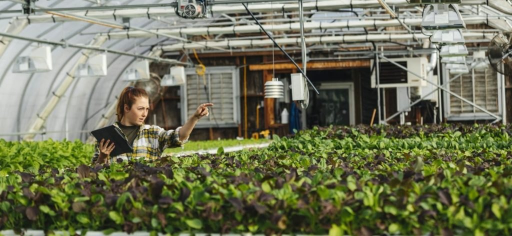 Desarrollo del Liderazgo Femenino en la Acción Climática